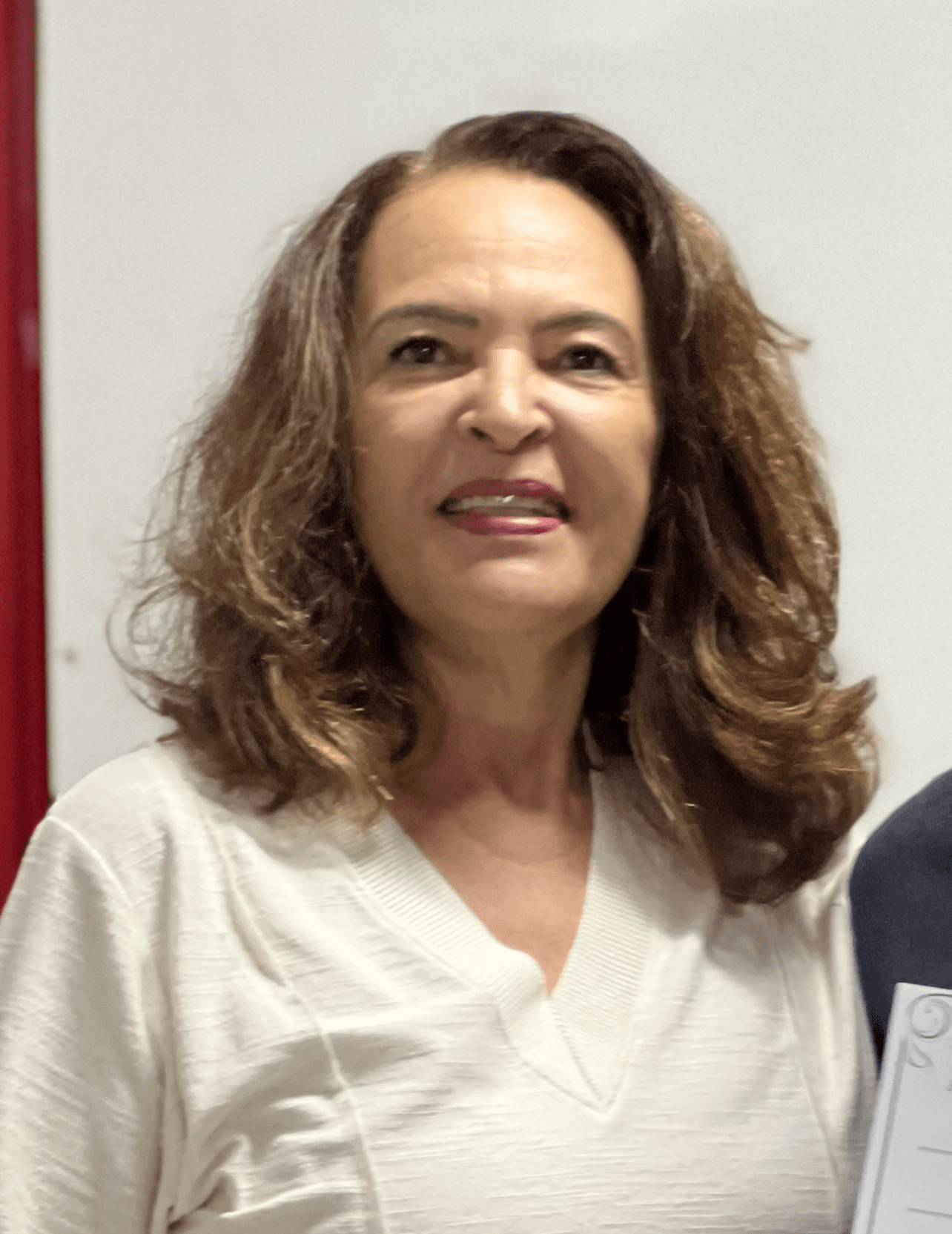 Maria Auxiliadora Ribeiro
